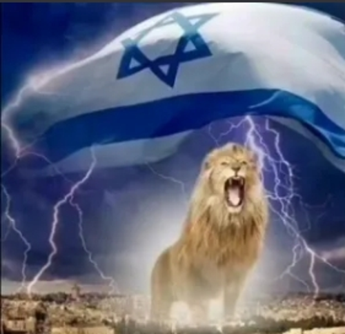 XOP BABAVURAN34#6610